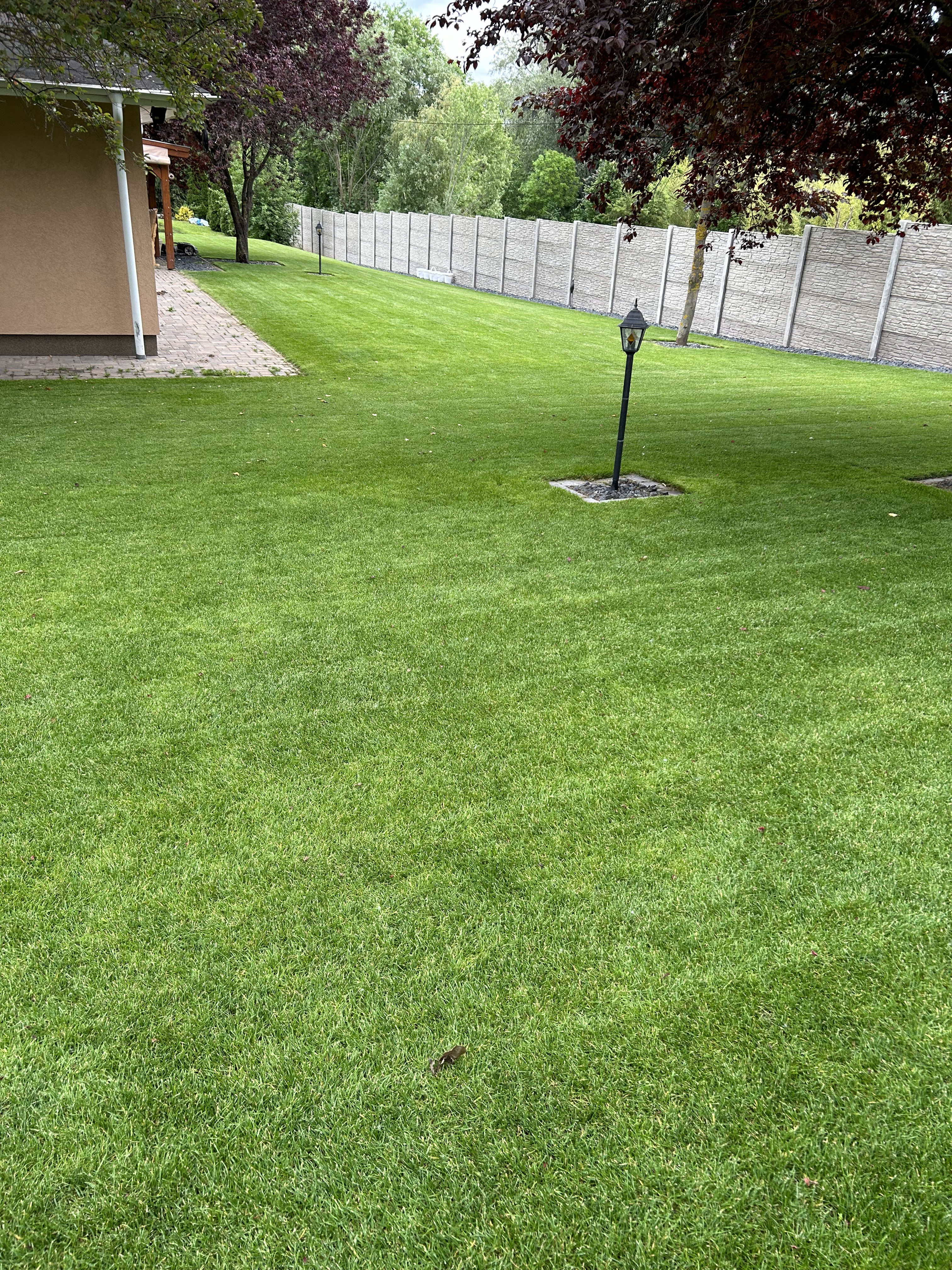 Kertépítés referencia 3